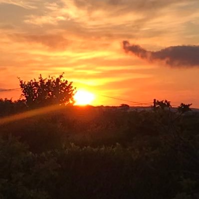 Tellitasitis7's profile picture. 