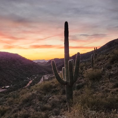 danielledirecto's profile picture. Unplugging from X but preserving my username to keep it away from the bots. Find me at https://t.co/iNkspfwa8I