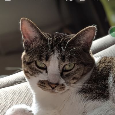 sayaka02496603's profile picture. 畑仕事 HSP HSC ホームスクール　ロブロックス  発達障害 フリースクール 
＃不登校さんと繋がりたい