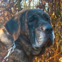 Zina (@zina73252223) 's Twitter Profile