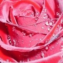 Barnali Dutta - @Barnalidutta - Twitter