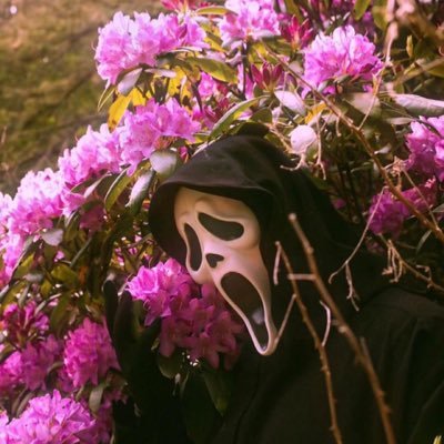 brizzel_x's profile picture. Live Free ⚜️