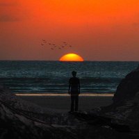 ●مسافر (@yousafmyousaf23) 's Twitter Profile