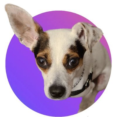 ratandmisty's profile picture. 