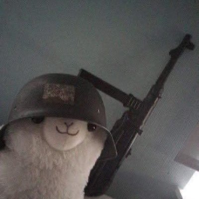 dazxcq's profile picture. 