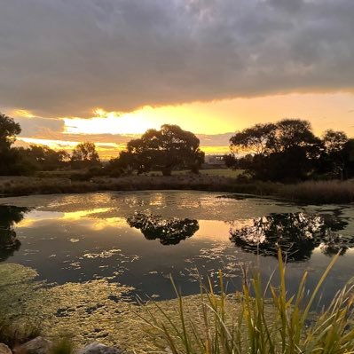 VINNYXGONNu's profile picture. 