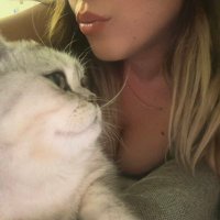 Schrodingers cat (@kediolansena) Twitter profile photo