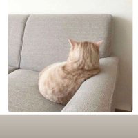 Özlem (@__ozlem_ce) 's Twitter Profile