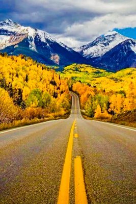 CarolBrune60491's profile picture. I'm a born-and-raised Canadian. Freedom is ours. God first
I will never forgive, I will never forget, and I will never comply.