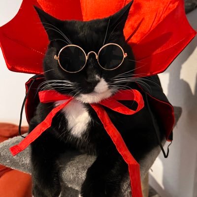 Sangcafeさんのプロフィール画像