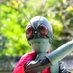 吉田大祐 ガワコス作り中 (@007913__daisuke) Twitter profile photo 吉田大祐 ガワコス作り中 (@007913__daisuke) Twitter profile photo