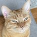 purl (@freshwaterpurl) Twitter profile photo purl (@freshwaterpurl) Twitter profile photo