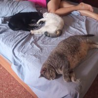 VToormos (@vtormos96) 's Twitter Profile