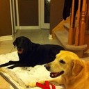 Ted Gates - @TBGTed - Twitter