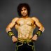 Timur ~ The Great (@timur_thegreat) Twitter profile photo
