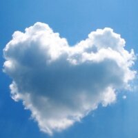 たけ (@white_take_sea) 's Twitter Profile