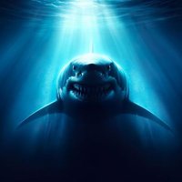 Blackshark7890 (@blackshark7890) 's Twitter Profile Photo Blackshark7890 (@blackshark7890) 's Twitter Profile Photo