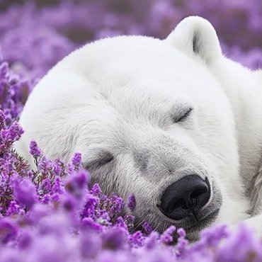 BearlyBar's profile picture. 🇳🇱🏳️‍🌈
28 yo
IT guy
Gamer and manga reader
I like bears
Dcord: BearlyBar

You are not your past successes.