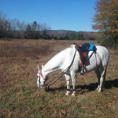 prognesubis1's profile picture. Recovered Victim of the Sixties