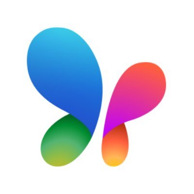 MSN Profile