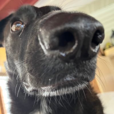 marcus4301's profile picture. 