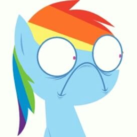 RoccoRoccs's profile picture. I like fart jokes, ponies, guns and gun smithing, machining, fishing, bla bla bla something something ADHD. ✝️🐴🏍️ ❤️ 🔫