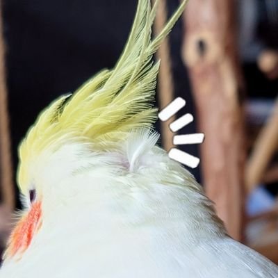 𝐘𝐔𝐈𝐂𝐇𝐈▽▽❦さんのプロフィール画像