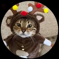 . (@cydnaj) 's Twitter Profile