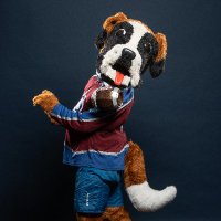 Bernie (@avsbernie) 's Twitter Profile