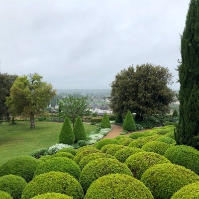 @Bazardeu