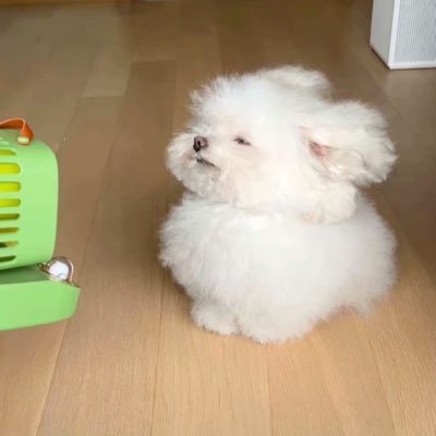 こっこさんのプロフィール画像