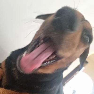 Lunastica22's profile picture. 