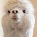 dK (@dkcryptol) Twitter profile photo dK (@dkcryptol) Twitter profile photo