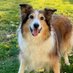The Snoopervisor / Wilma (@wilmabenton19) Twitter profile photo The Snoopervisor / Wilma (@wilmabenton19) Twitter profile photo