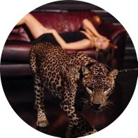 π (@_su2xi) 's Twitter Profile