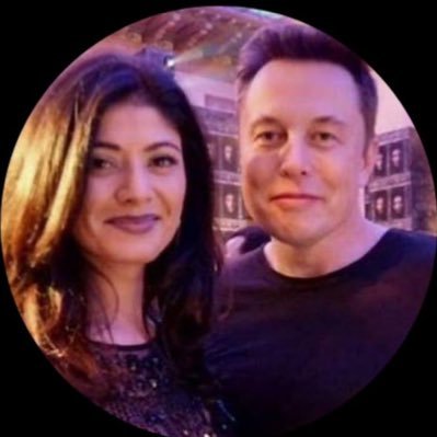 Protecting Elon Musk's online presence from impersonators is my top priority, leveraging my cybercrime expertise to safeguard his digital identity.