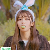 りな(避難用) (@yukkurina__) 's Twitter Profile Photo