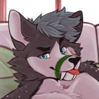 NotSafeForShoop🔞 (@nsfshoop) 's Twitter Profile