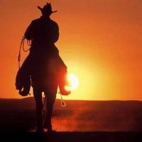 Lone Ranger (@andrewf868067) 's Twitter Profile