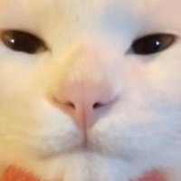 doe jhon (@doejhon93371301) 's Twitter Profile