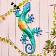 zz_gecko's profile picture. ☮️Magic lizard 𓏢 Eyeland vibes🏖️