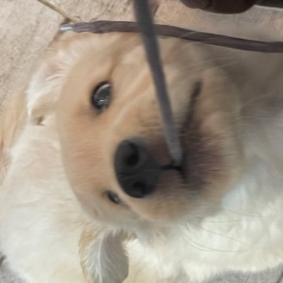 bboddokki's profile picture. 