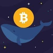 WhaleBTC130's profile picture. 