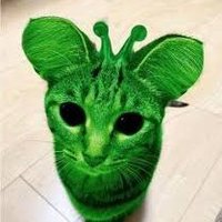 Avacado shedtwt (@avacado87) 's Twitter Profile