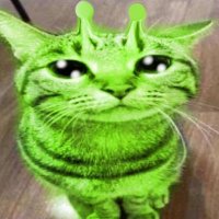 ⋆˙⟡𖦹 Xel 𖦹⟡˙⋆ (@xelbobel) 's Twitter Profile