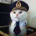 Captain Meowsers (@captainmeowsers) Twitter profile photo Captain Meowsers (@captainmeowsers) Twitter profile photo