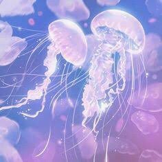 kurage11011's profile picture. 凍結された海月 車内してません。ドタキャンは即ブロ♡