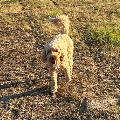 Oakley_Mord's profile picture. 