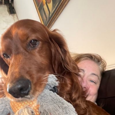 Bevi1Pepin's profile picture. teacher