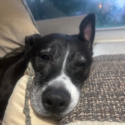 OldGruntHatesCommies